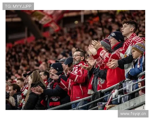 德甲球迷氛围 德甲球迷氛围